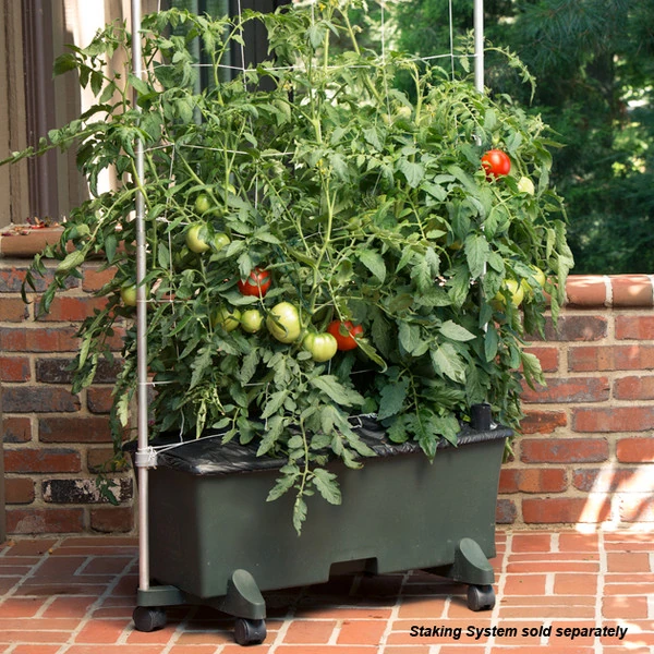 EarthBox Staking System - Image 2