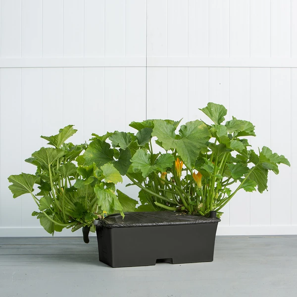 EarthBox Original Garden Kit - Image 9